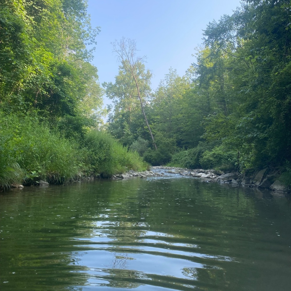 Meet your Posher, Victoria